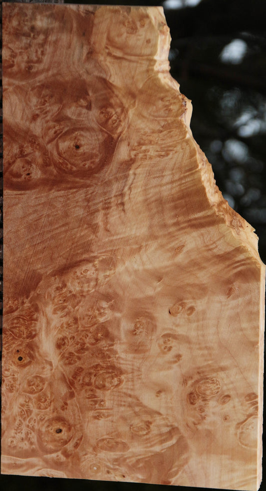 Maple Burl Lumber
