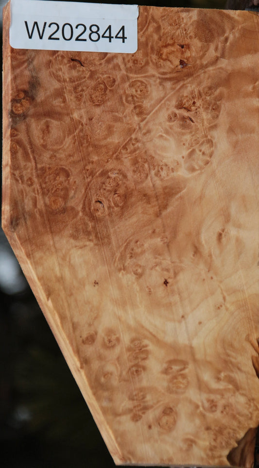 Maple Burl Lumber