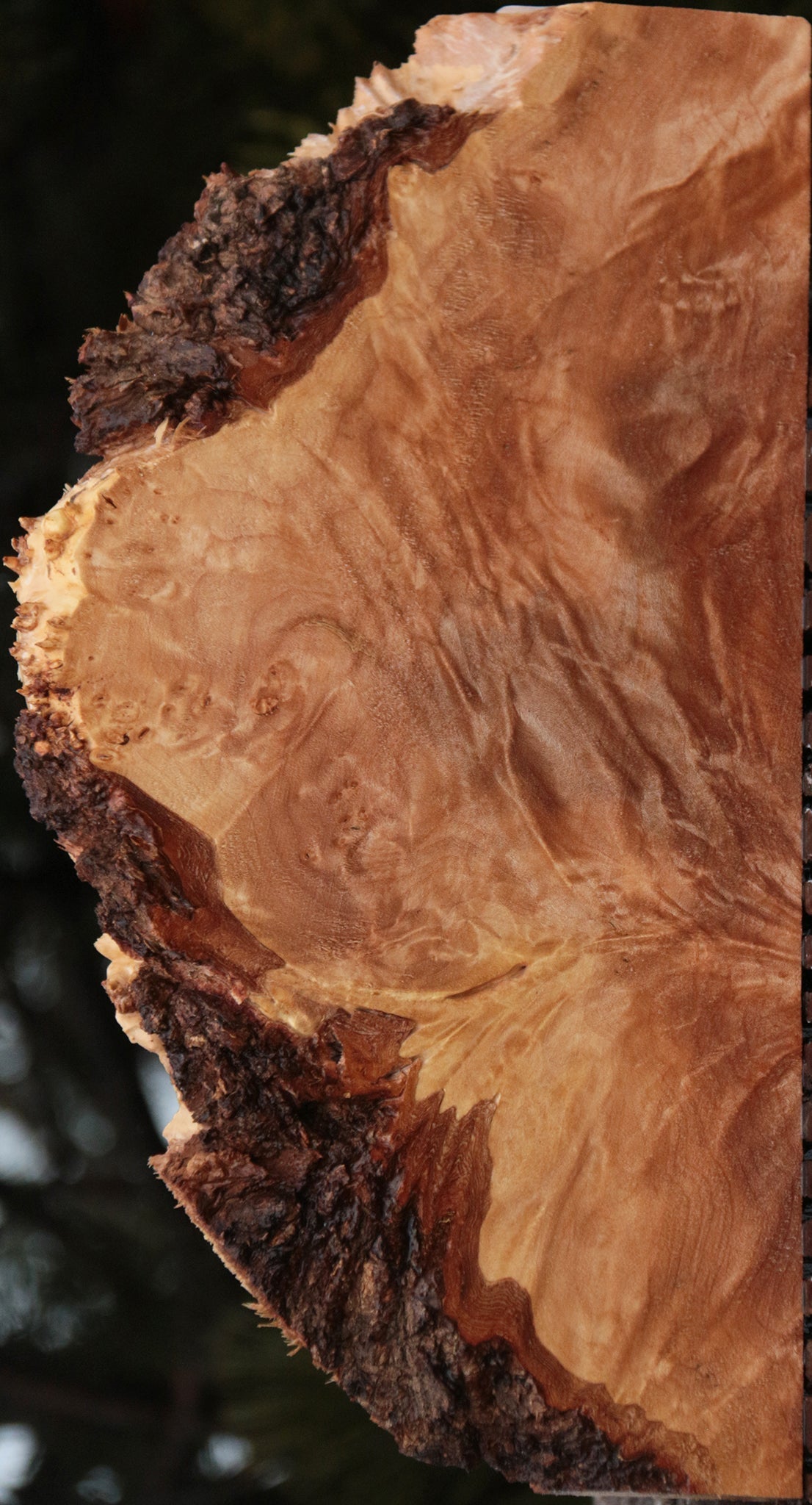 Maple Burl Live Edge Lumber