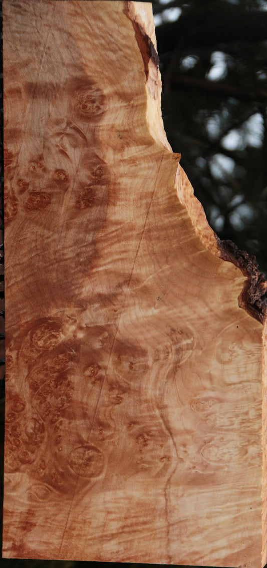 Maple Burl Lumber