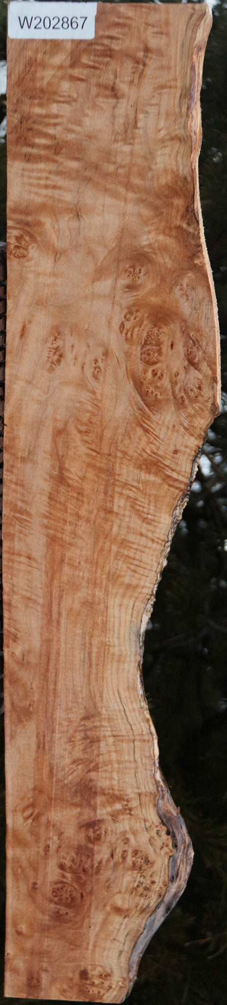 Maple Burl Live Edge Lumber