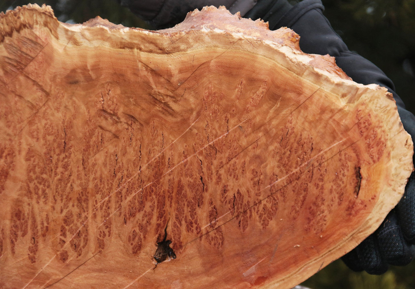 Gold Mallee Burl Cap