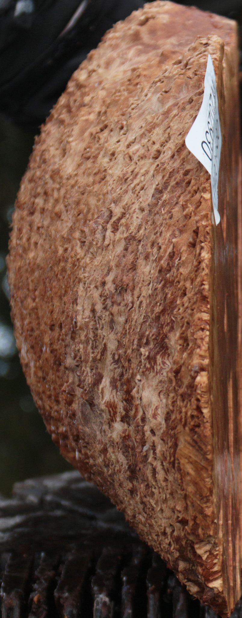 Gold Mallee Burl Cap