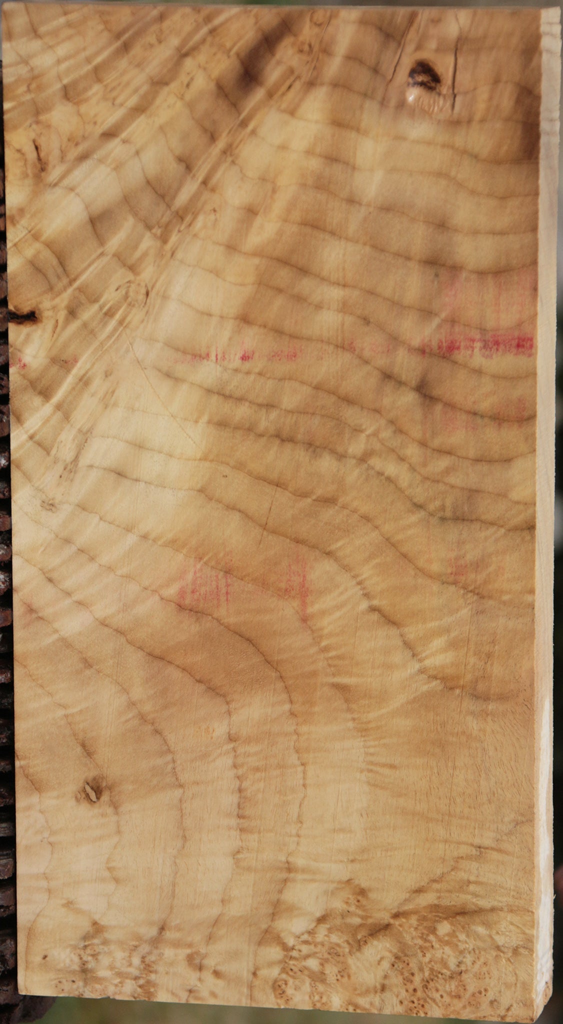 Extra Fancy Myrtle Lumber