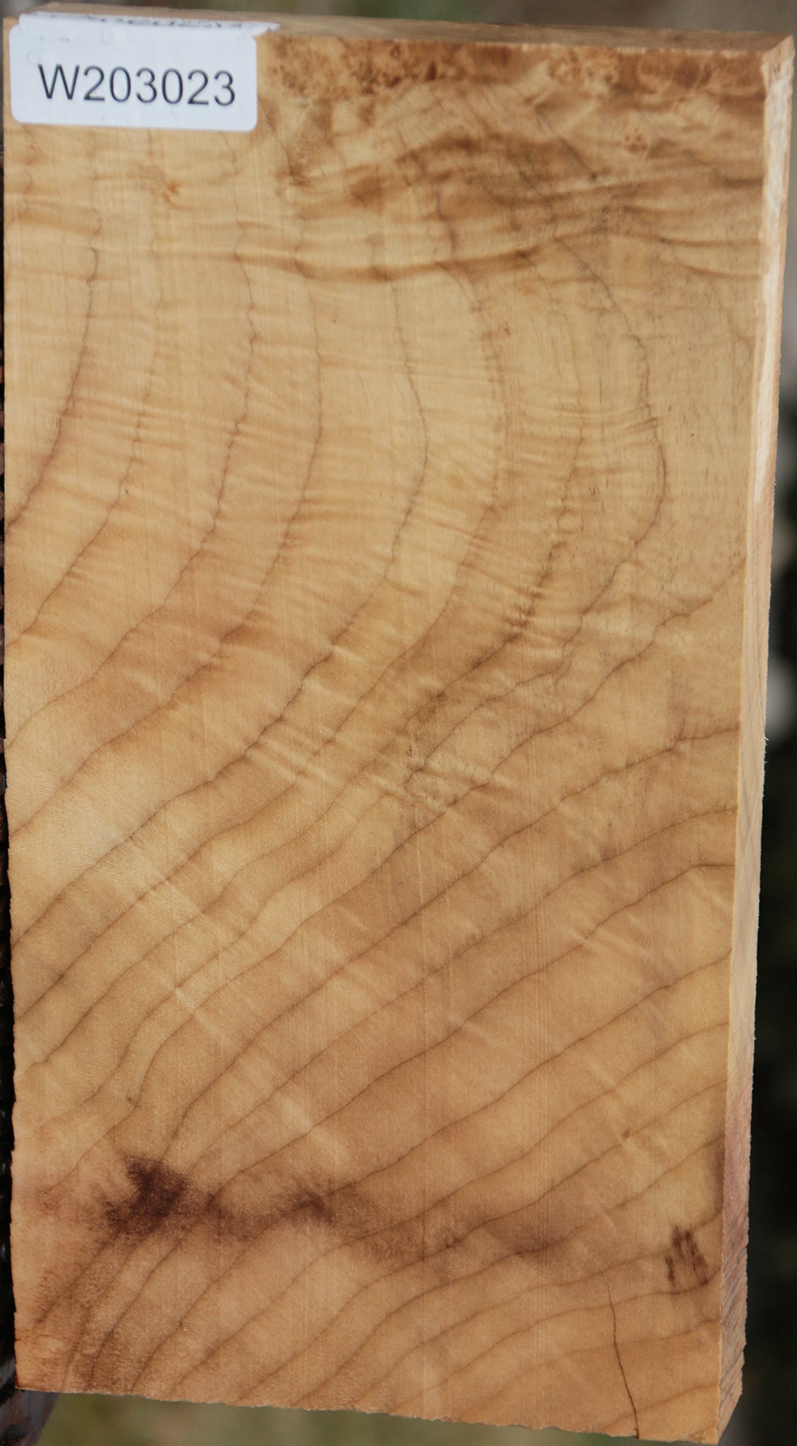 Extra Fancy Myrtle Lumber