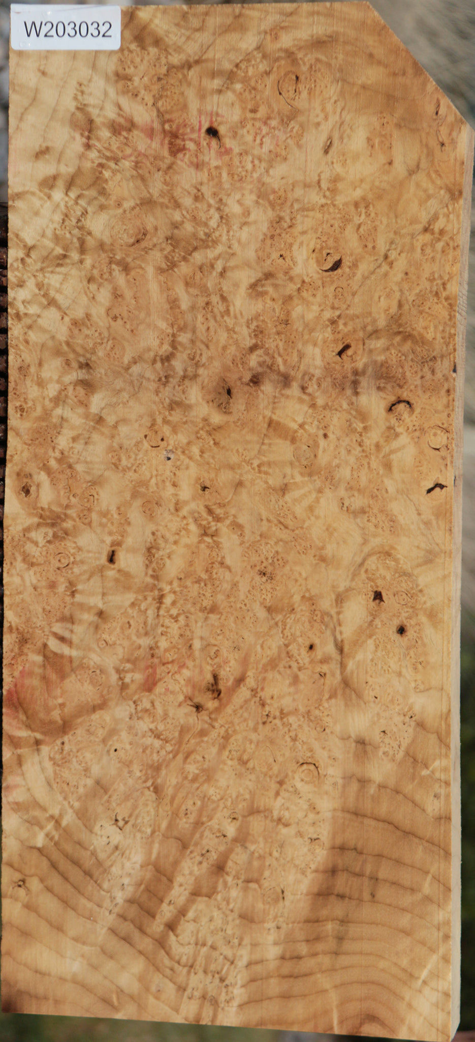 Myrtle Burl Instrument Lumber