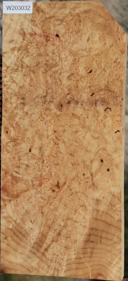 Myrtle Burl Instrument Lumber