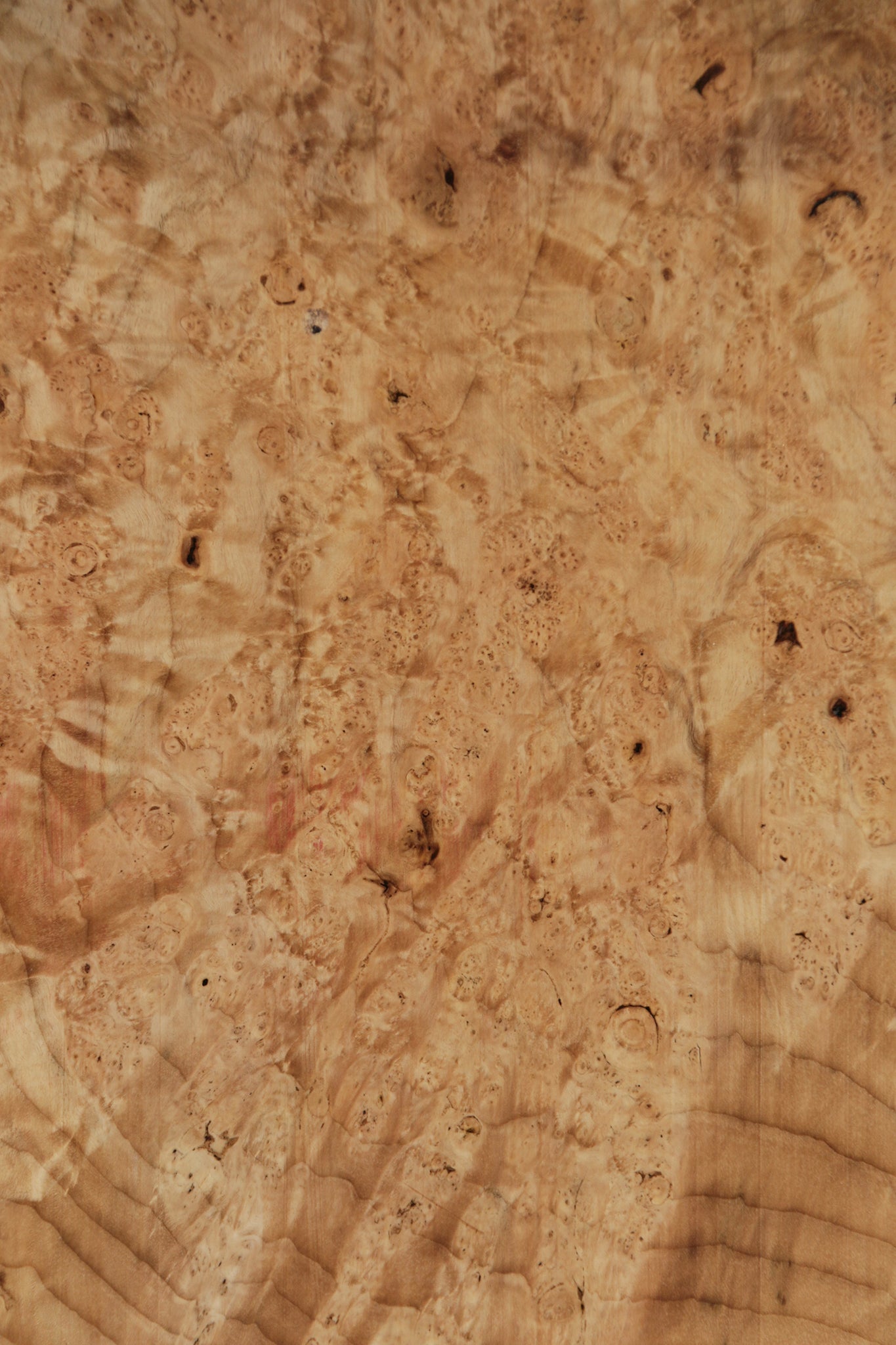 Myrtle Burl Instrument Lumber