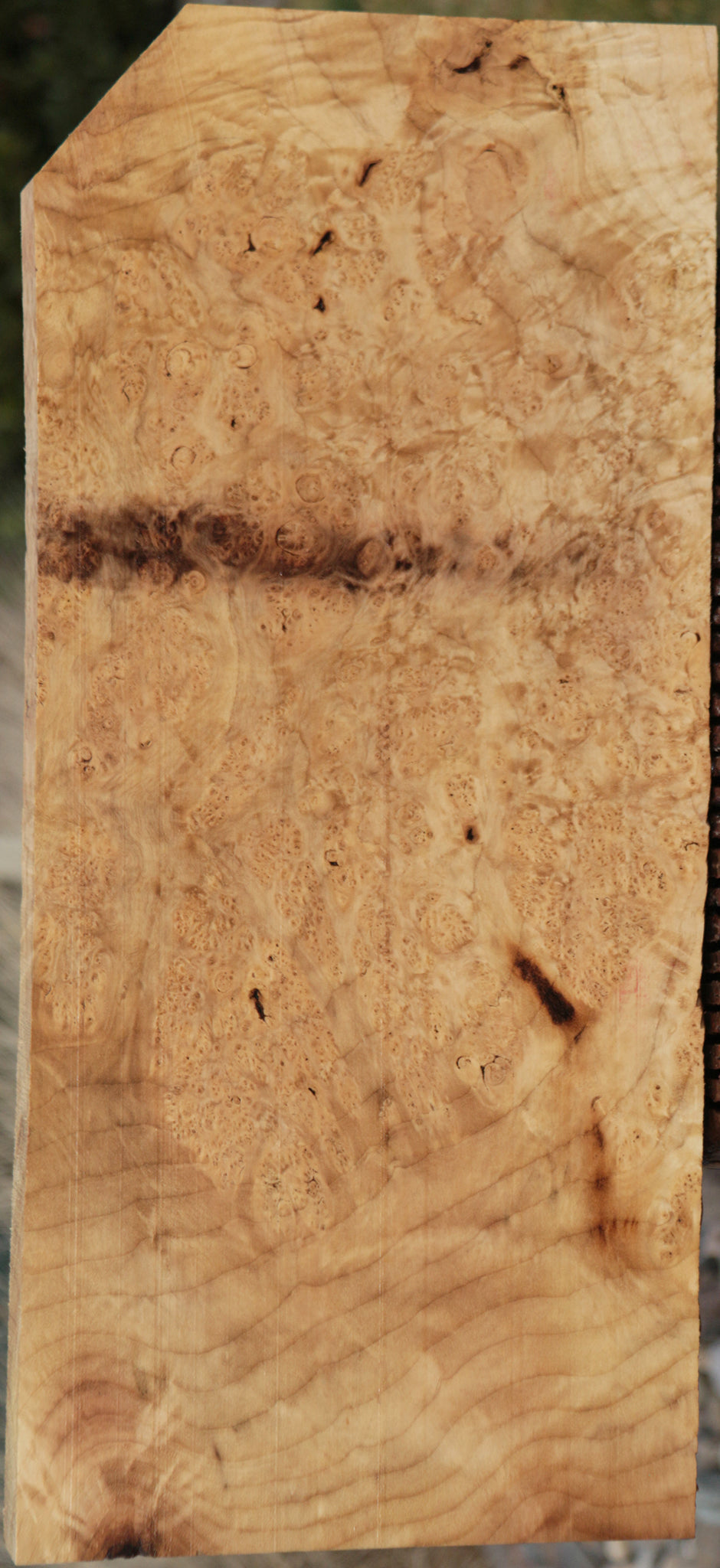 Myrtle Burl Instrument Lumber