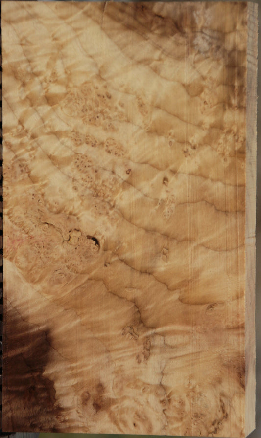 Myrtle Burl Lumber