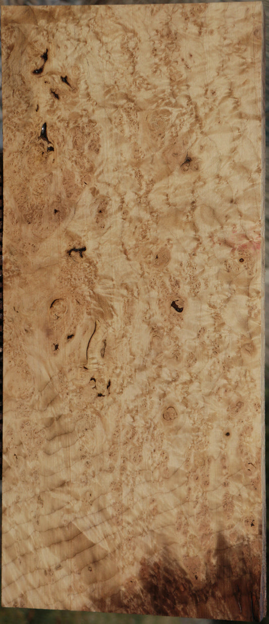 Myrtle Burl Instrument Lumber