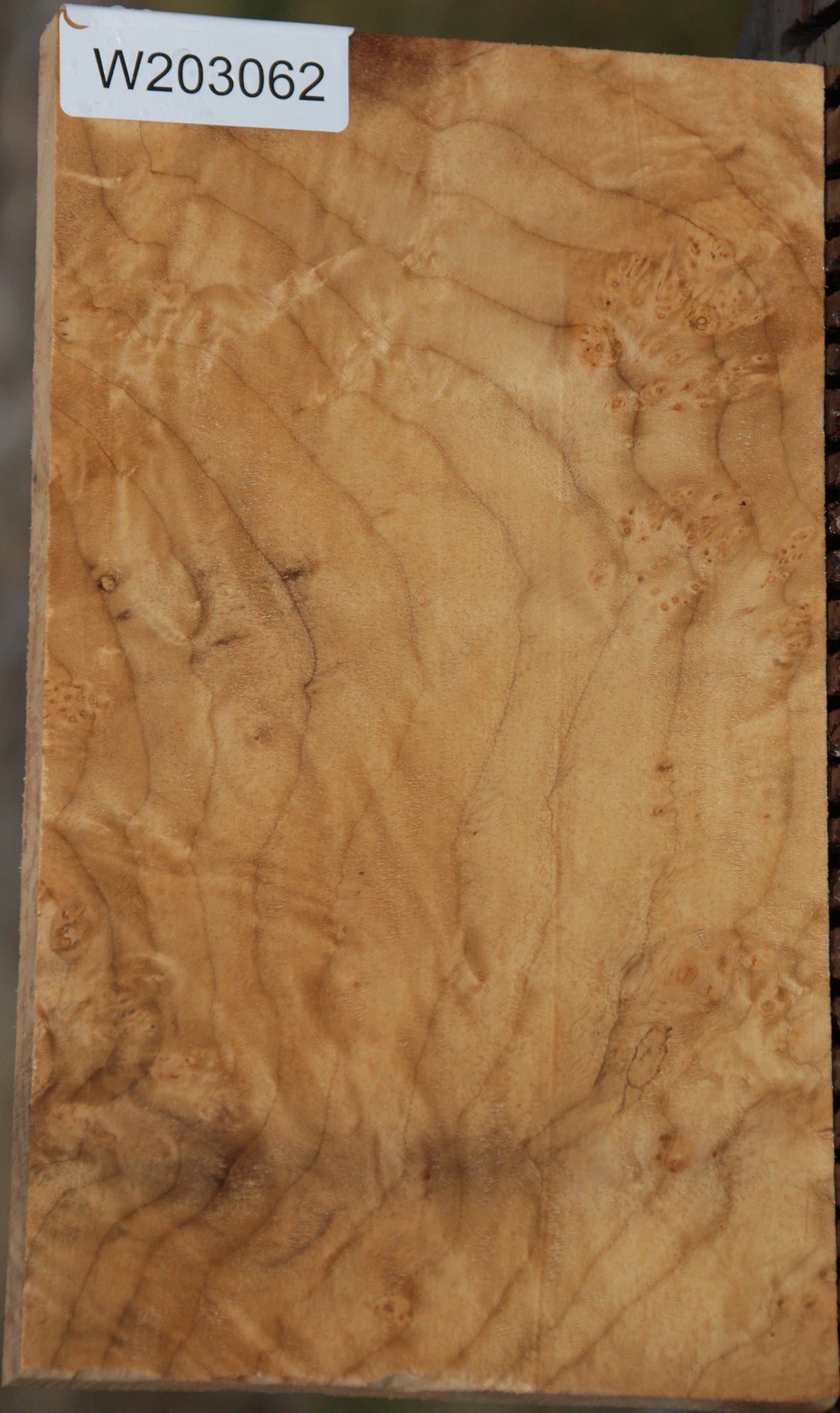 Extra Fancy Myrtle Lumber