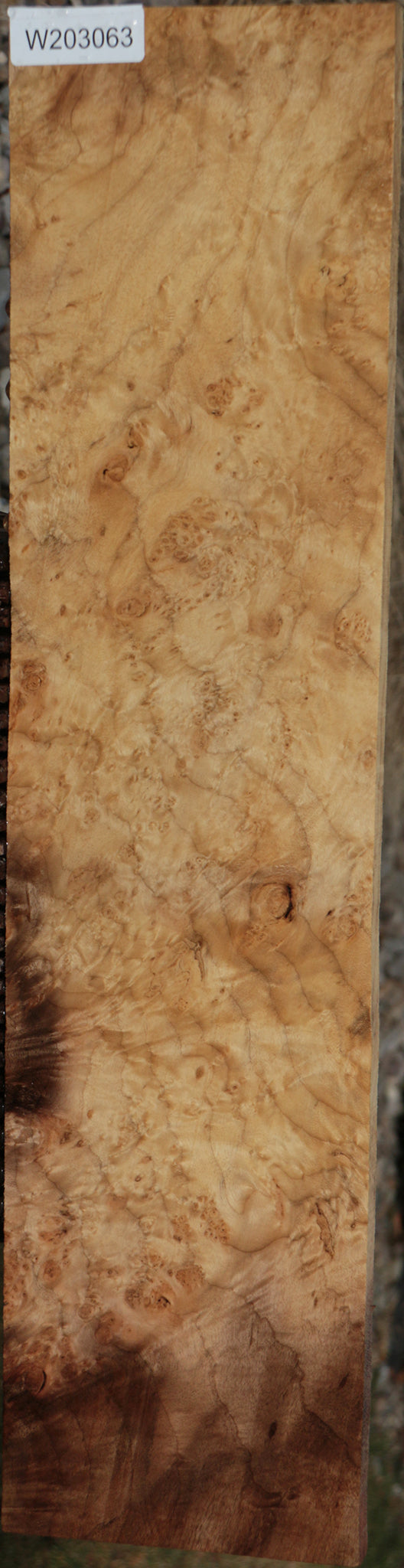 Myrtle Burl Instrument Lumber