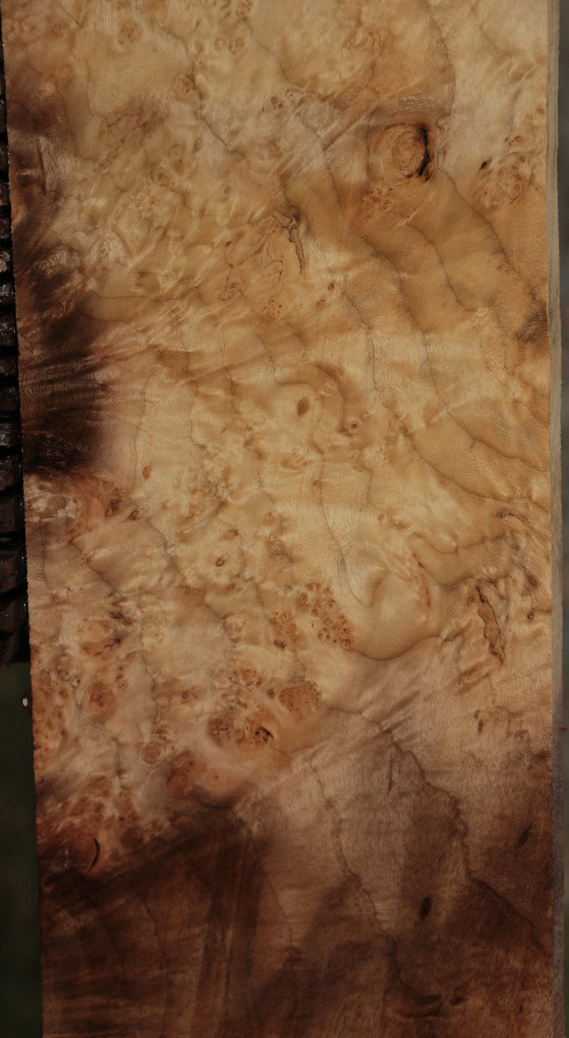 Myrtle Burl Instrument Lumber