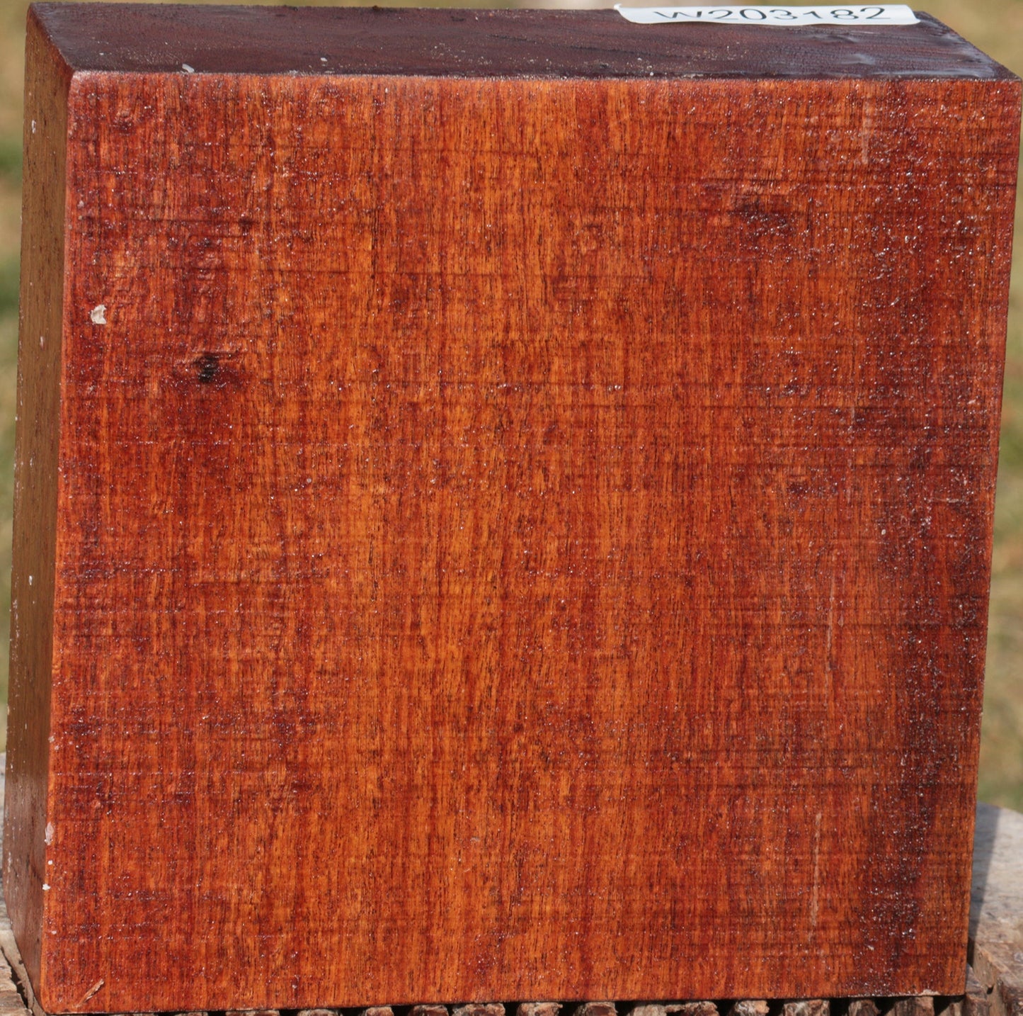 Macacauba Bowl Blank