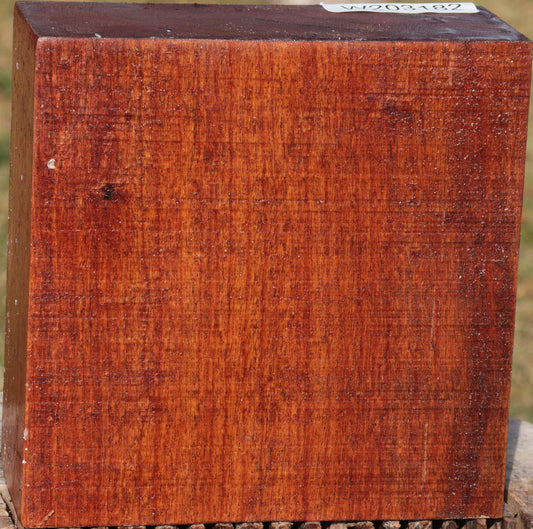 Macacauba Bowl Blank