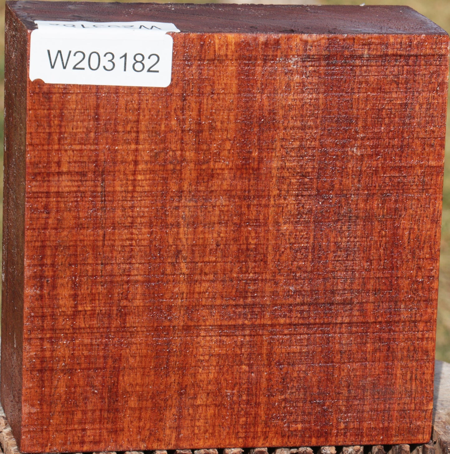 Macacauba Bowl Blank