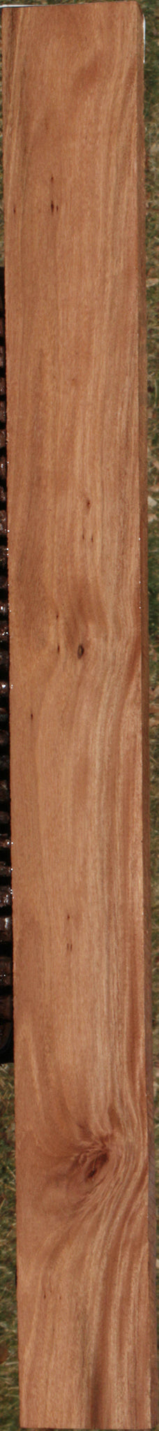 Brush Box Lumber