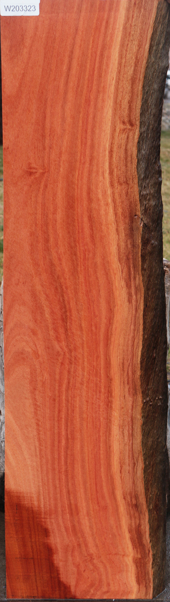 Red Ironbark Live Edge Lumber