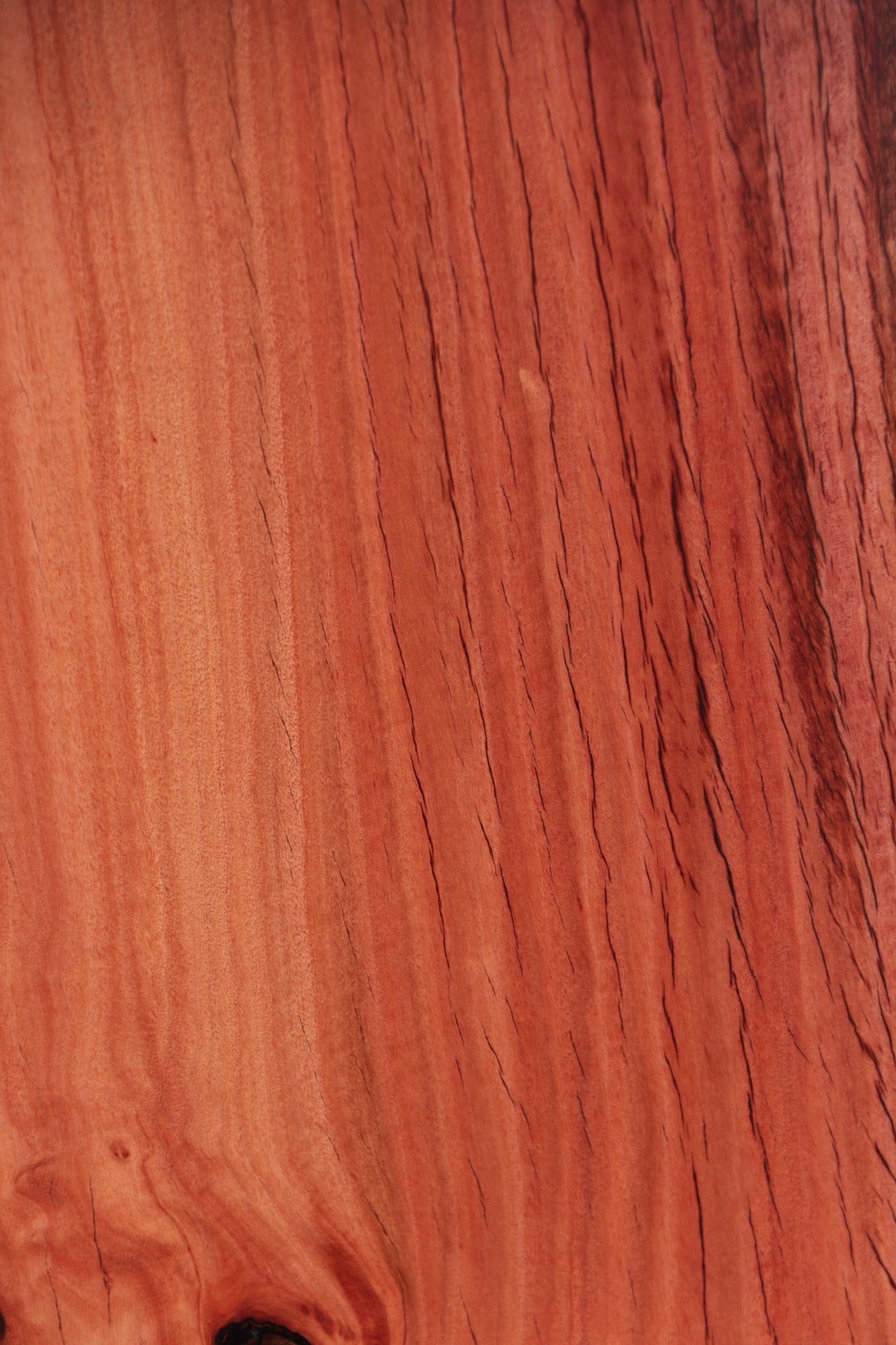 Rustic Red Ironbark Live Edge Lumber