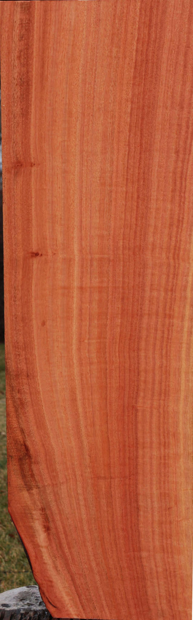 Extra Fancy Red Ironbark Lumber