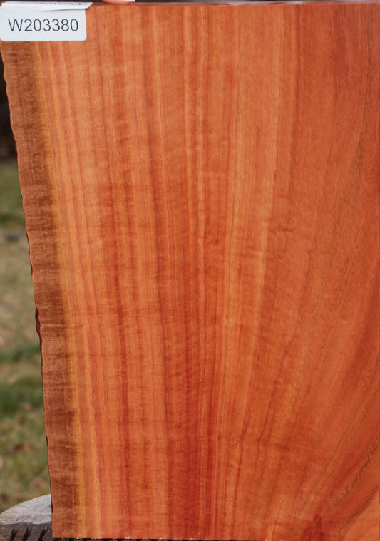 Extra Fancy Red Ironbark Live Edge Lumber
