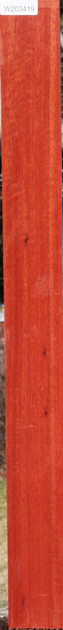 Bloodwood Lumber