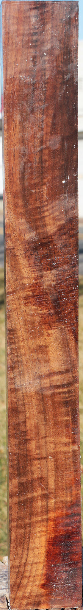 AAA Extra Fancy Claro Walnut Turning Square