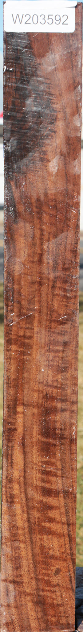 AAA Extra Fancy Claro Walnut Turning Square