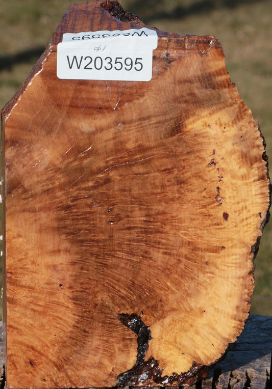 Kanista Burl Live Edge Bowl Blank