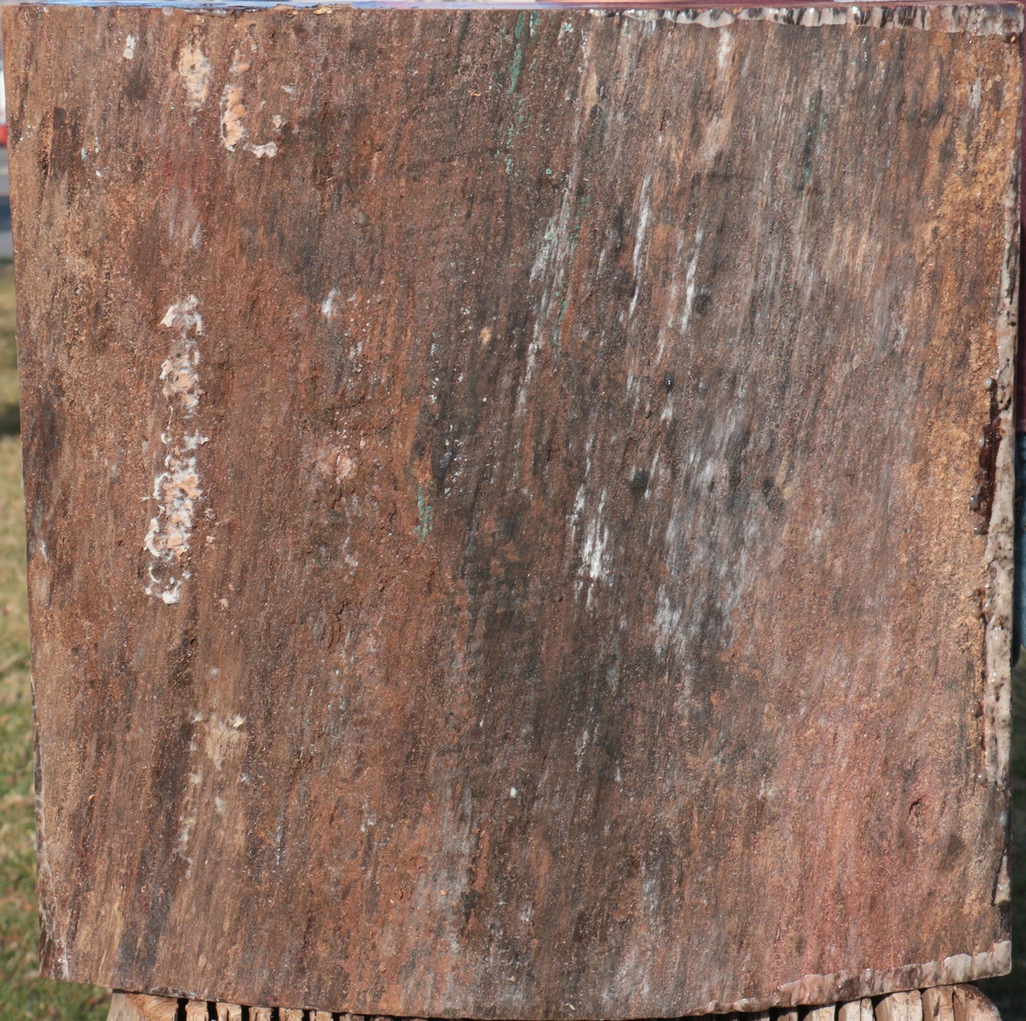 Purpleheart Half Log