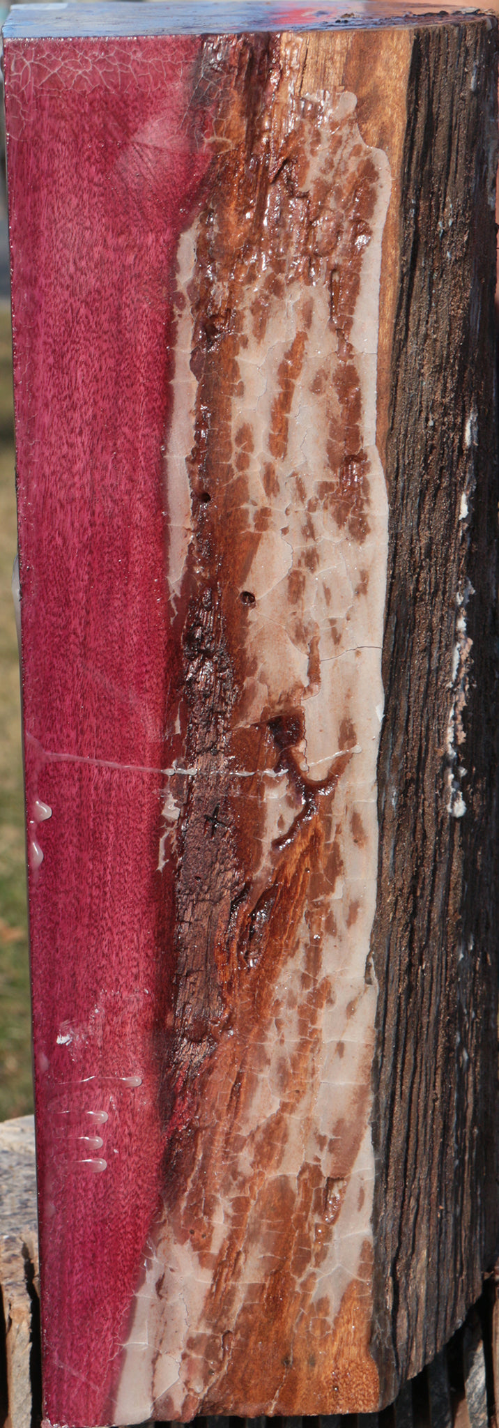 Purpleheart Half Log