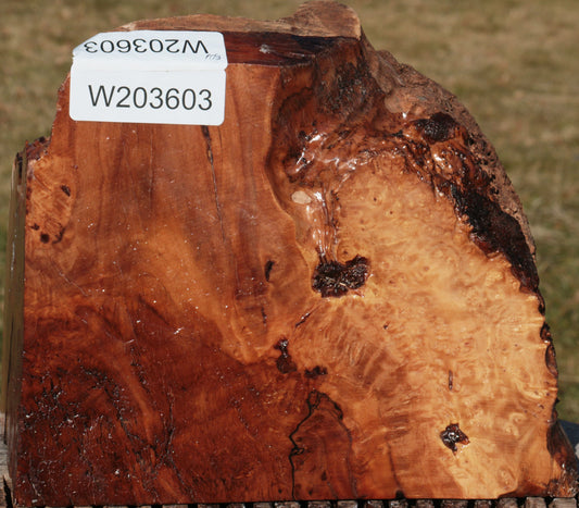 Kanista Burl Live Edge Turning Blank