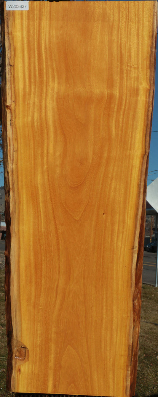 Argentine Osage Orange Live Edge Lumber