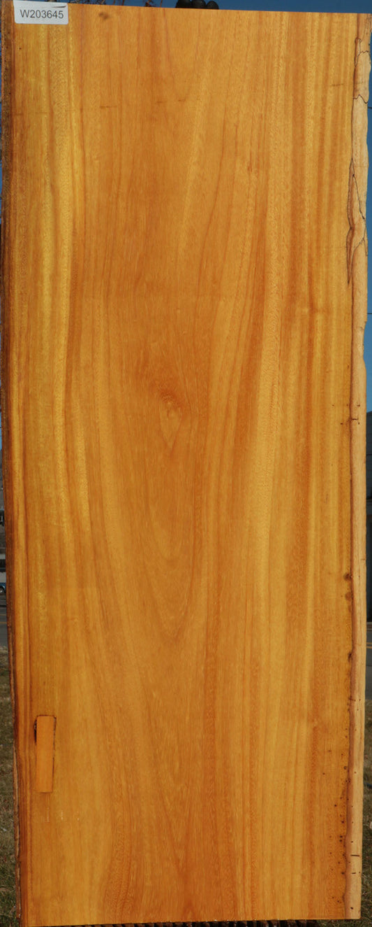 Argentine Osage Orange Live Edge Lumber