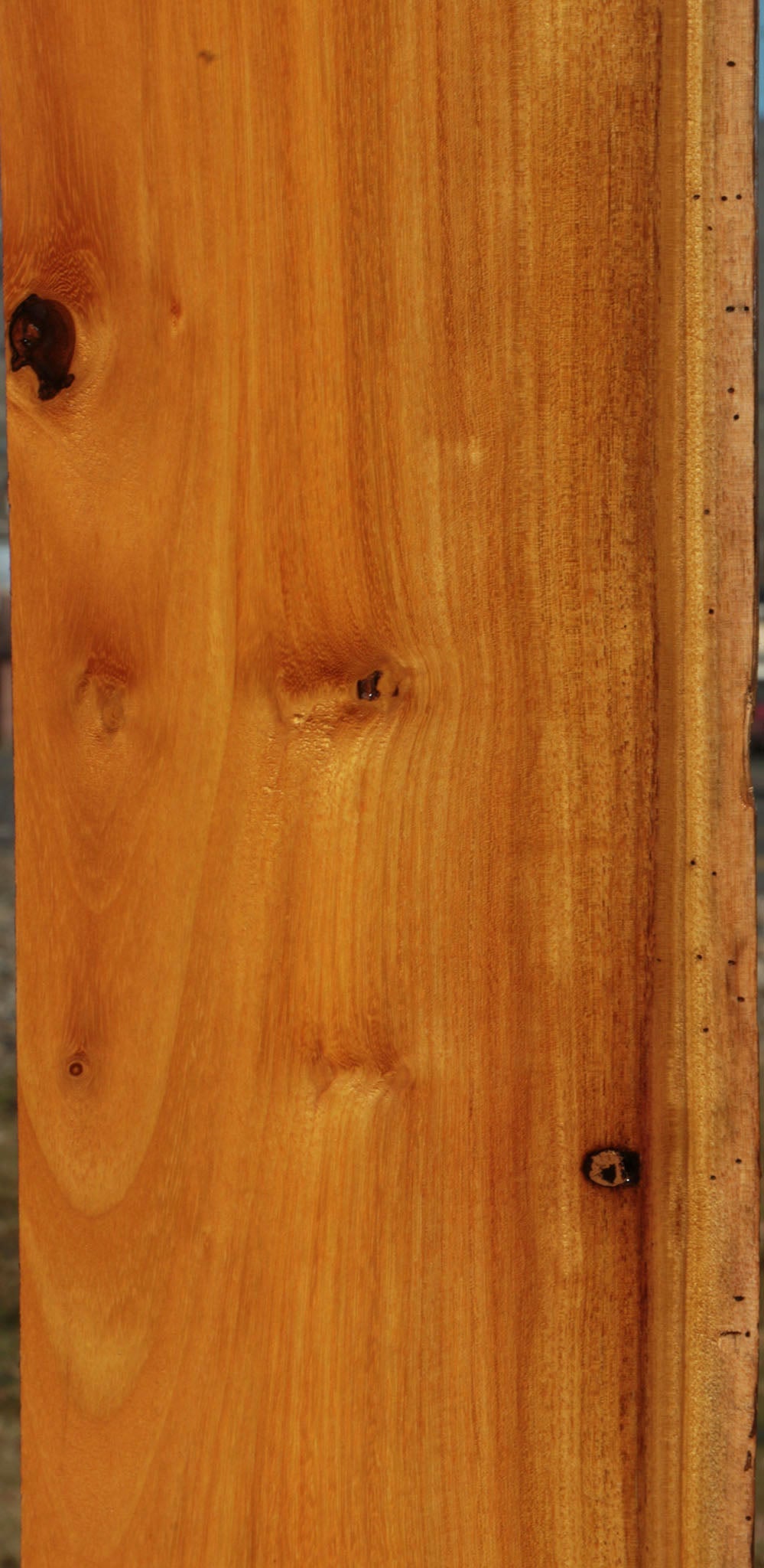 Argentine Osage Orange Live Edge Lumber