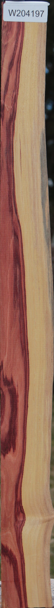 Extra Fancy Tulipwood Live Edge Lumber