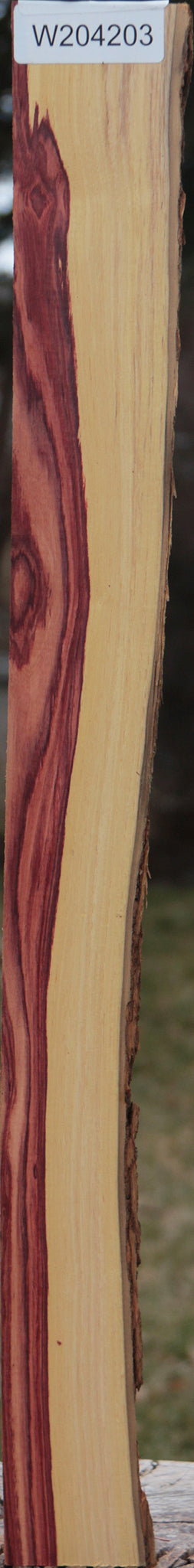 Exhibition Tulipwood Live Edge Lumber