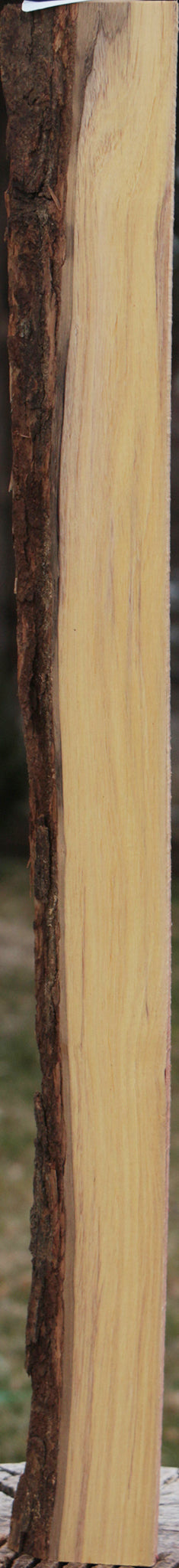 Exhibition Tulipwood Live Edge Lumber