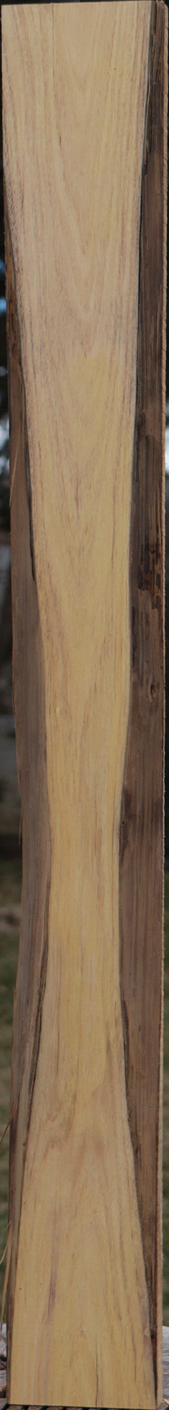Exhibition Tulipwood Live Edge Lumber