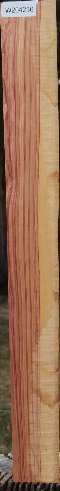 Tulipwood Live Edge Micro Lumber