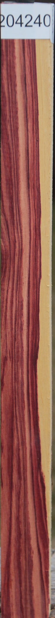 Exhibition Tulipwood Lumber