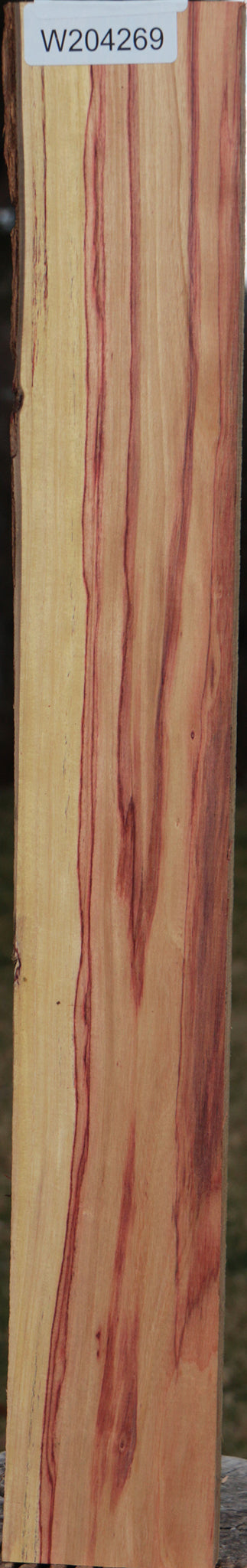 Extra Fancy Tulipwood Live Edge Lumber