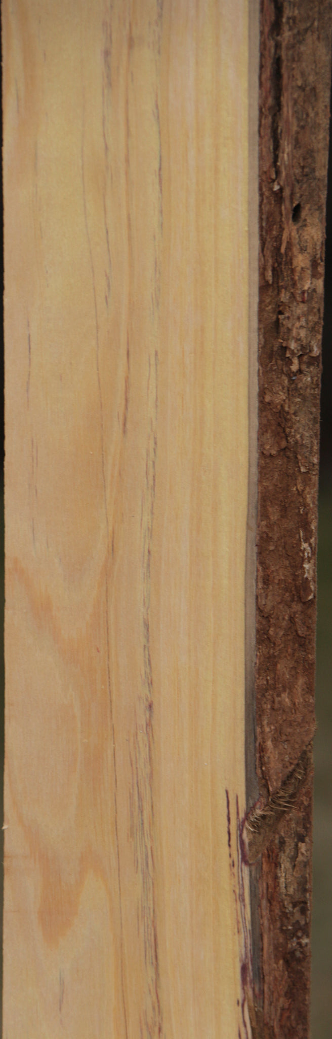 Extra Fancy Tulipwood Live Edge Lumber