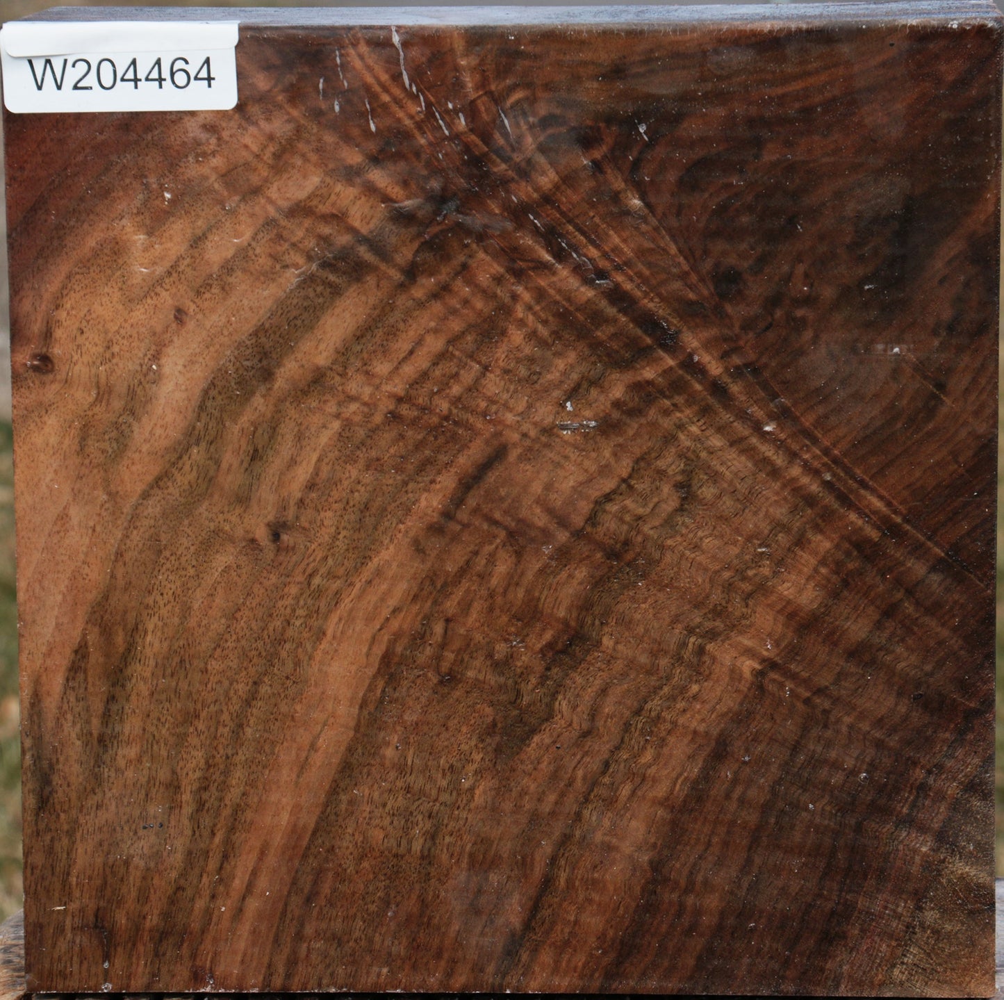 Crotchwood Claro Walnut Bowl Blank