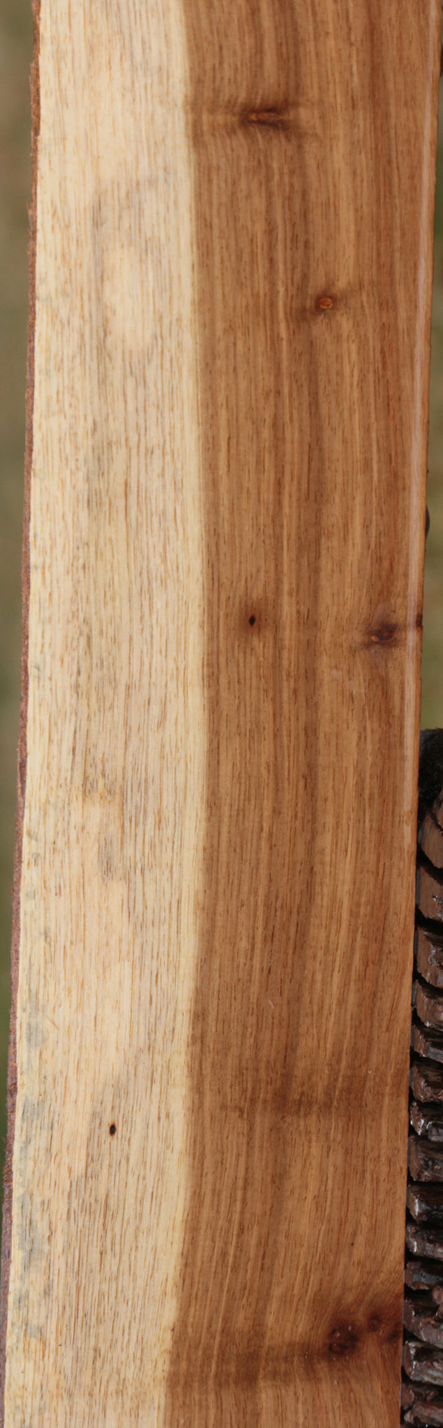 Tasmanian Blackwood Lumber