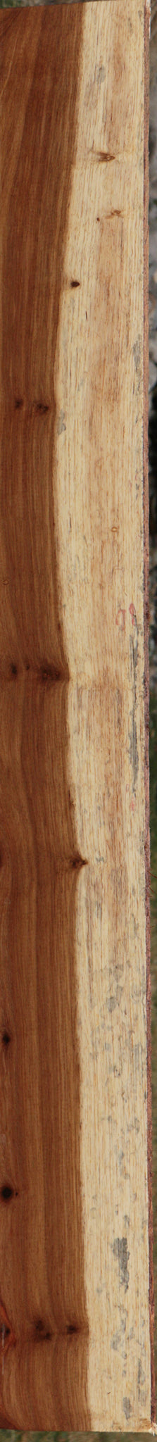 Tasmanian Blackwood Lumber