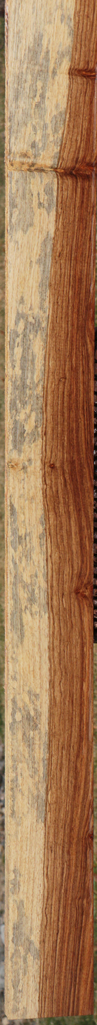 Tasmanian Blackwood Lumber