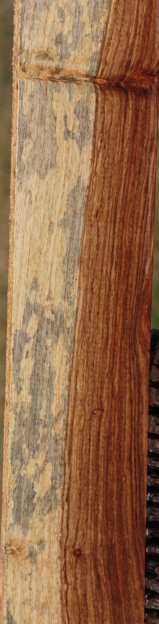 Tasmanian Blackwood Lumber