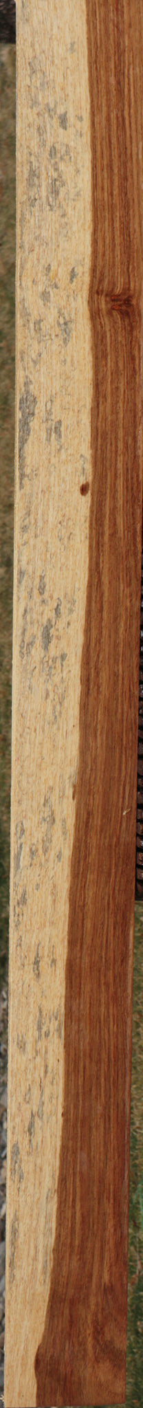Tasmanian Blackwood Lumber